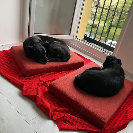 Slunny Apartman U Lesoparku, Kobylisy Prague